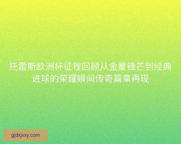 托雷斯欧洲杯征程回顾从金童锋芒到经典进球的荣耀瞬间传奇篇章再现