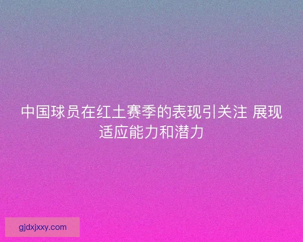 中国球员在红土赛季的表现引关注 展现适应能力和潜力